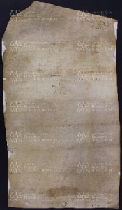 63 B.17.LXIIIv, Investitura fatta da Ingone vescovo a favore di Martino da Vignola e di Martino da Collegara, Dugliolo (castel di), [1030-1031, gen. 23]